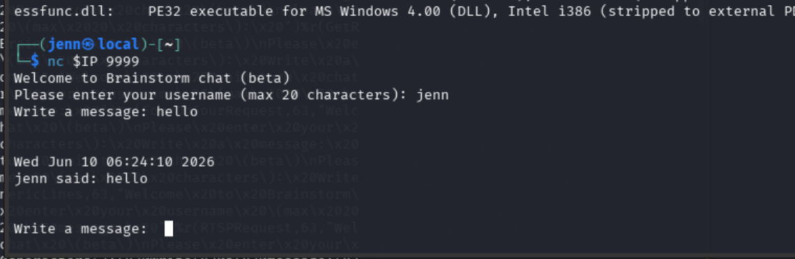Netcat session with the Brainstorm chat service on port 9999 echoing input